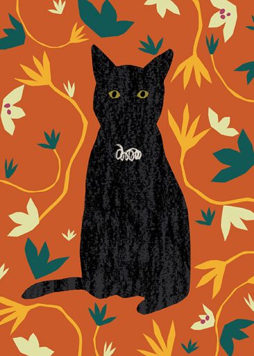 Black Cat door Lily Windsor Walker