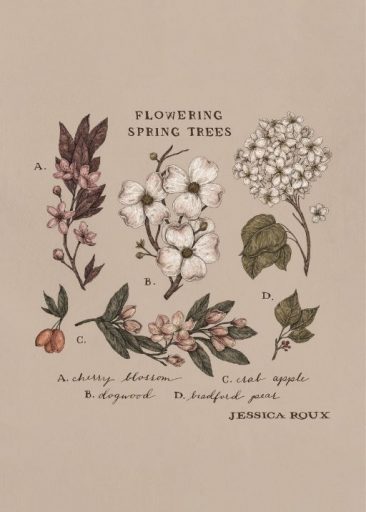 Flowering Spring Trees door Jessica Roux